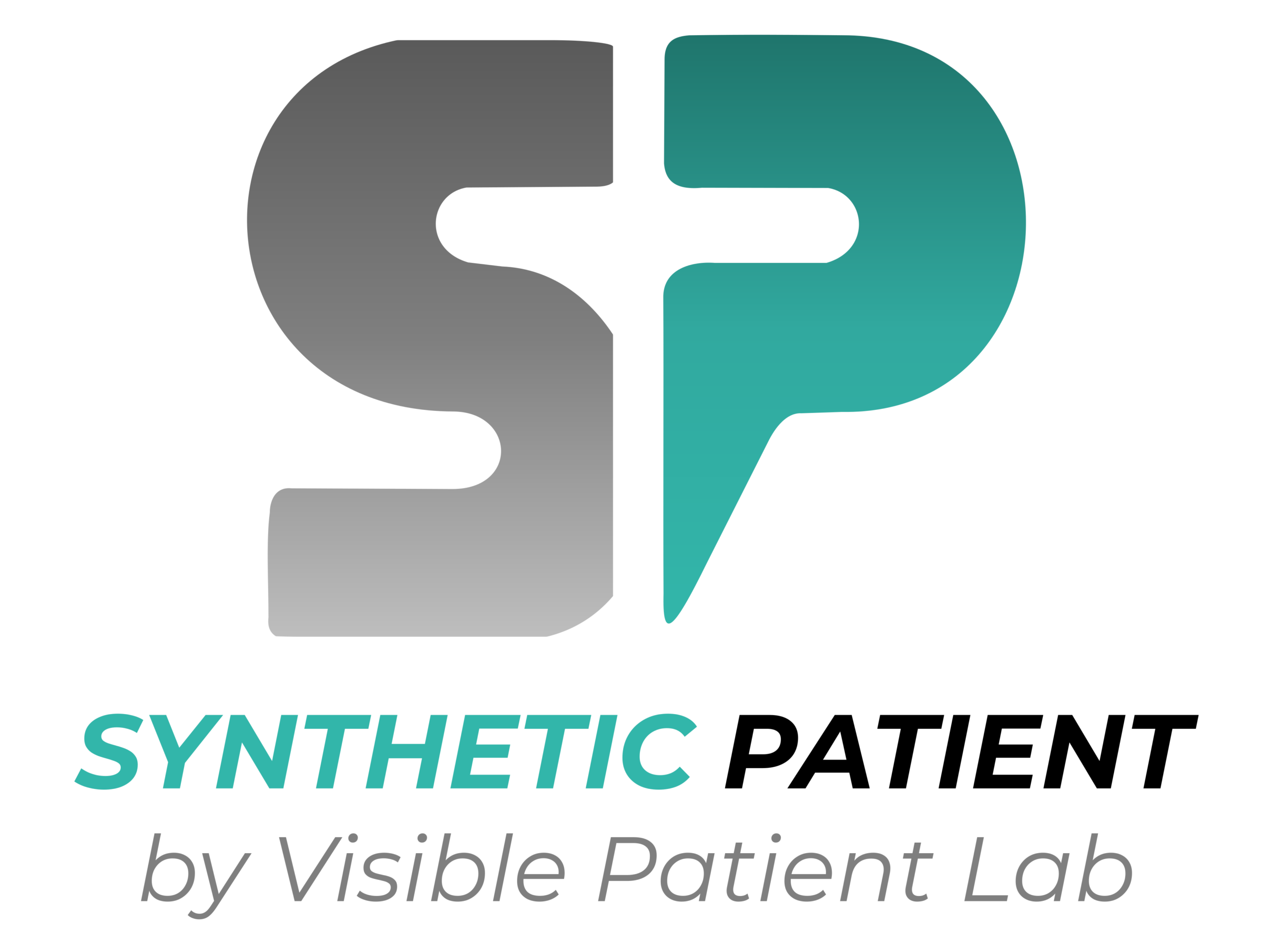 Synthetic Patient